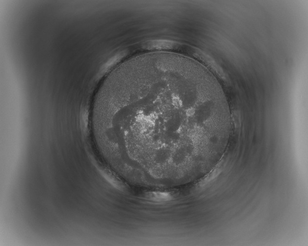 X0000112830159200908281539