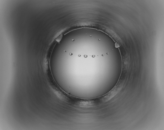 X0000112830160200908281539