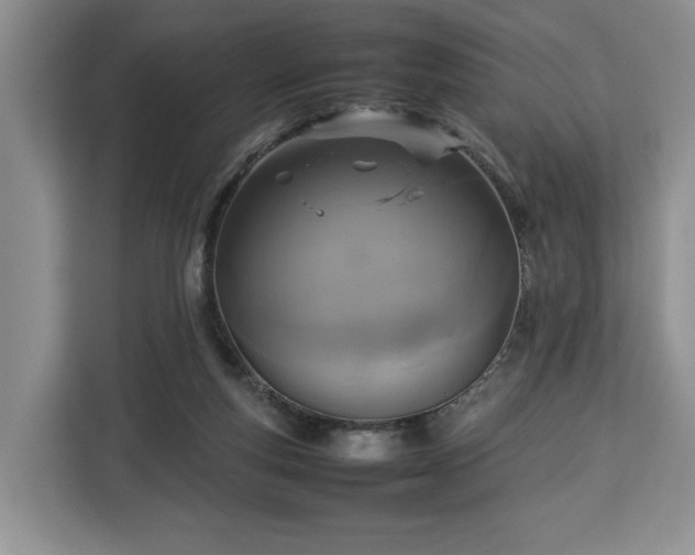 X0000112830163200908281539