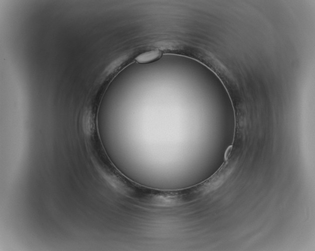 X0000112830164200908281539