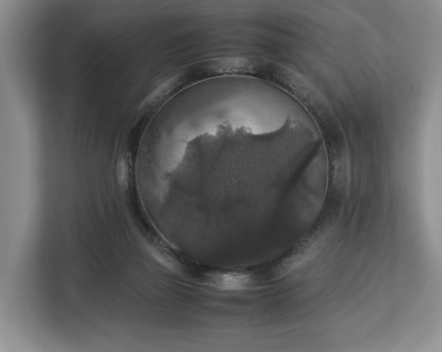 X0000112830165200908281539