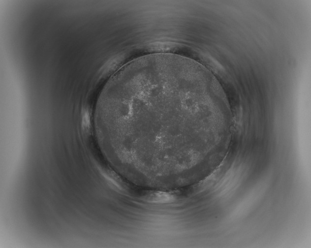 X0000112830166200908281539