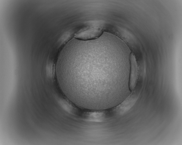 X0000112830168200908281539