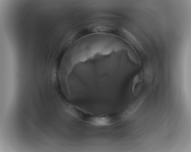 X0000112830169200908281539