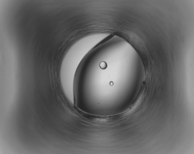 X0000112830170200908281539