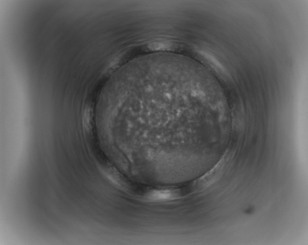 X0000112830171200908281539