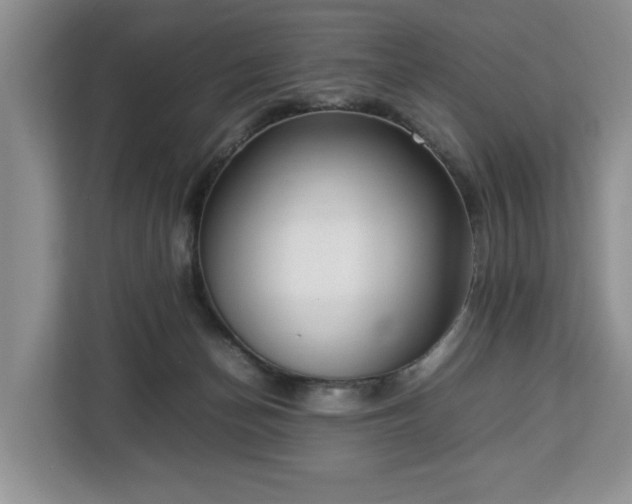 X0000112830174200908281539