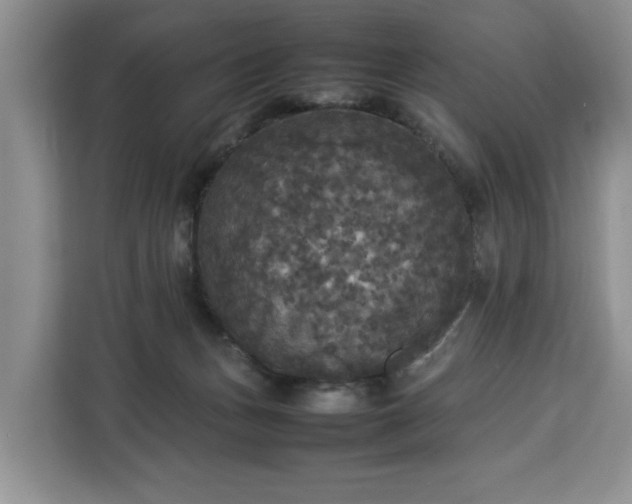 X0000112830175200908281539