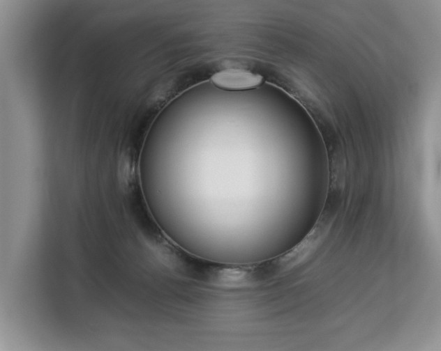 X0000112830176200908281539