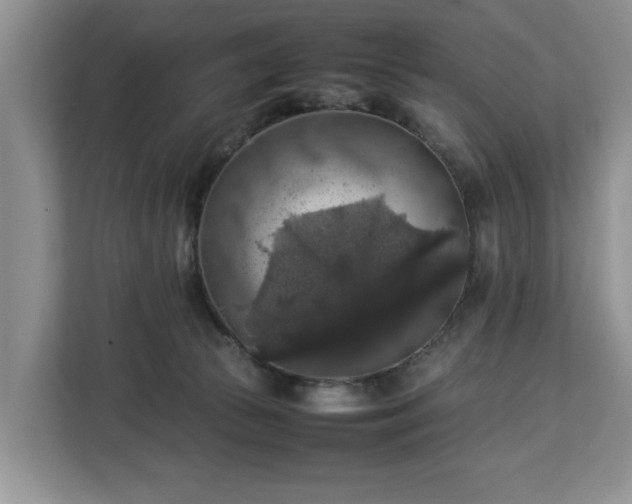 X0000112830177200908281539