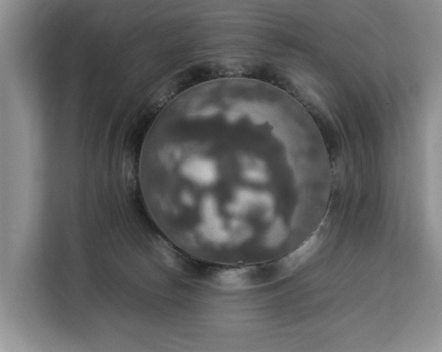 X0000112830178200908281539