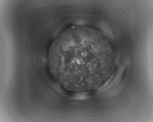 X0000112830179200908281539