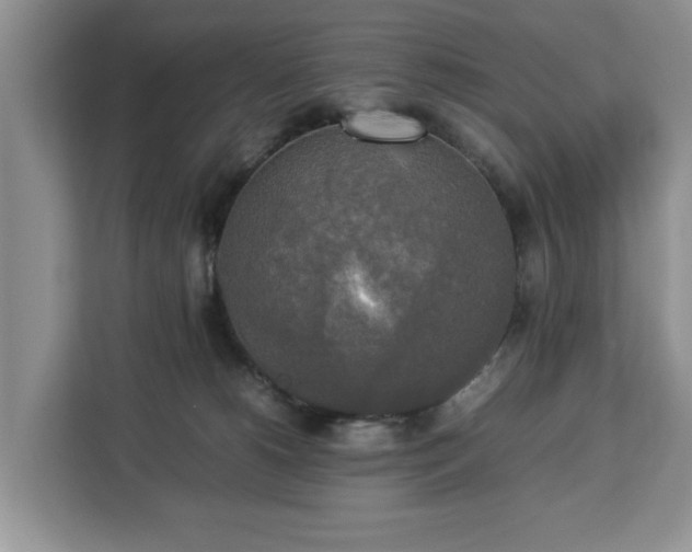 X0000112830180200908281539