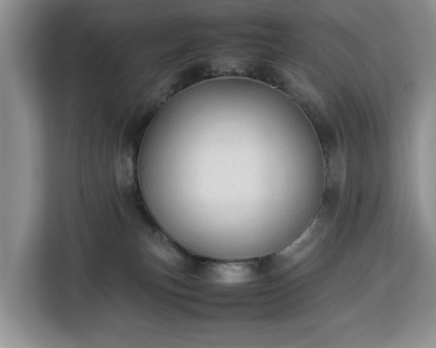 X0000112830183200908281539