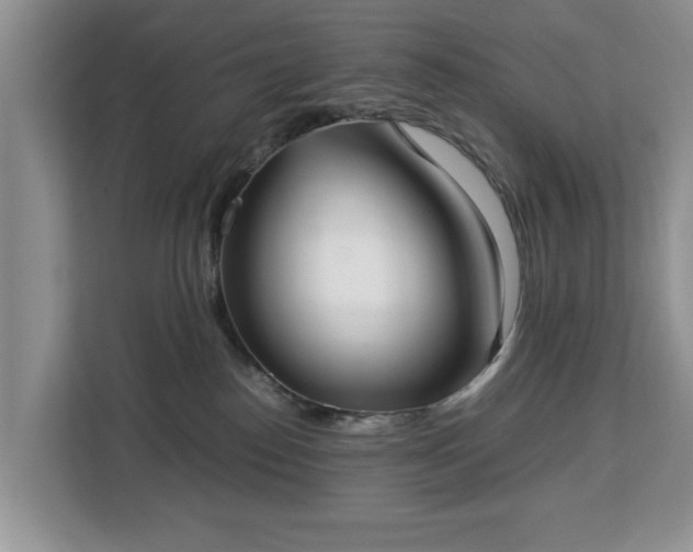 X0000112830186200908281539