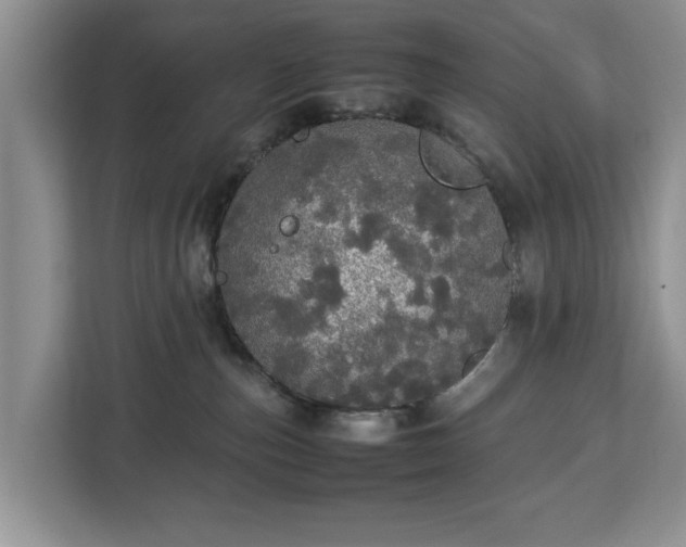 X0000112830187200908281539