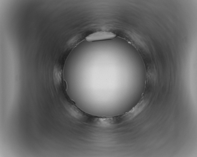 X0000112830188200908281539