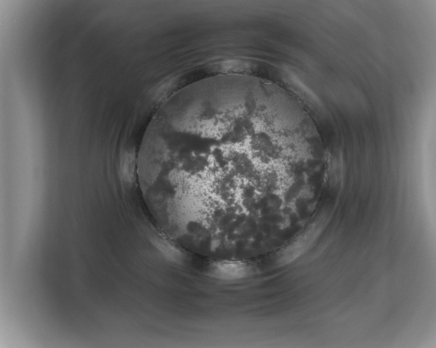 X0000112830189200908281539