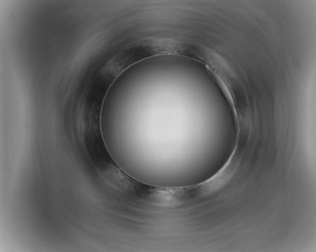 X0000112830190200908281539