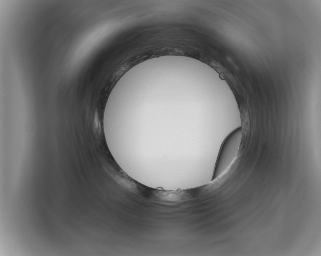 X0000112830191200908281539