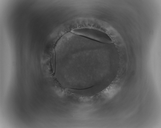 X0000112830192200908281539