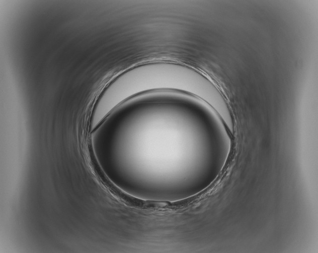 X0000112830193200908281538