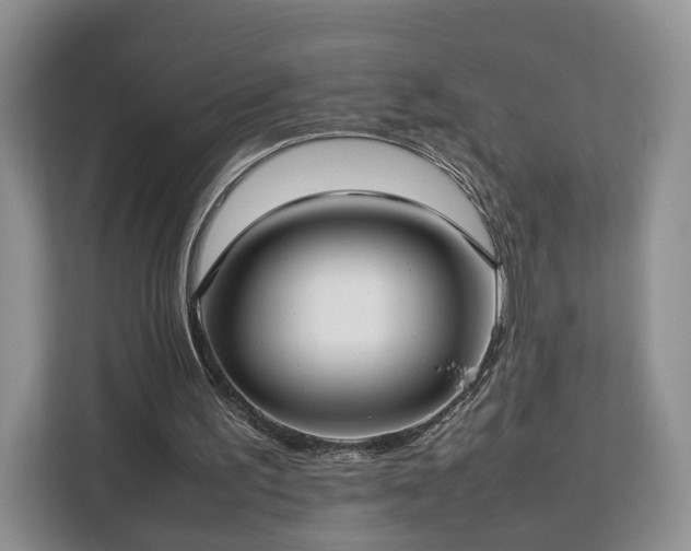 X0000112830195200908281538