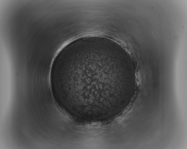 X0000112830196200908281538