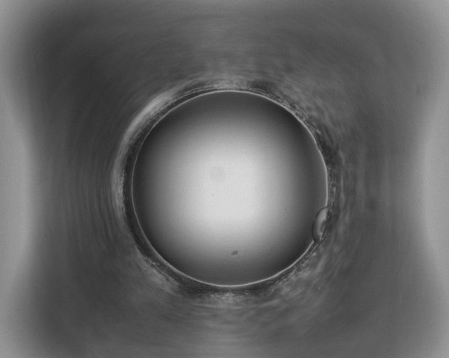 X0000112830197200908281538