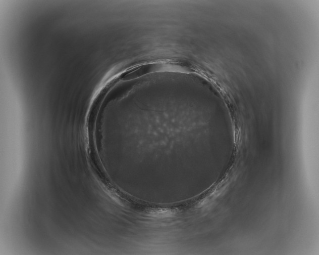 X0000112830198200908281538