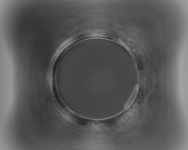 X0000112830199200908281538