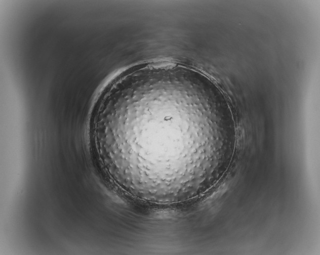 X0000112830200200908281538