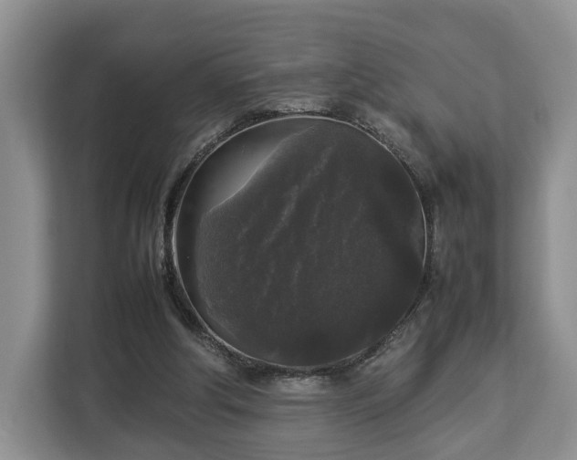 X0000112830202200908281538