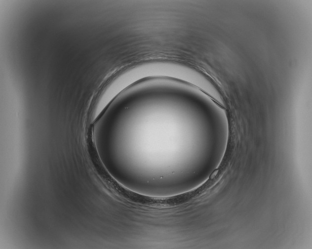 X0000112830203200908281538