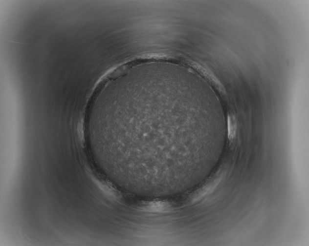 X0000112830204200908281538