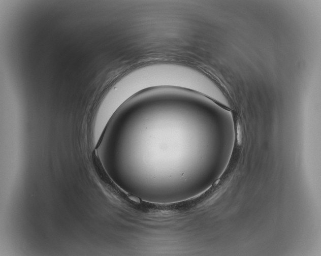 X0000112830205200908281538