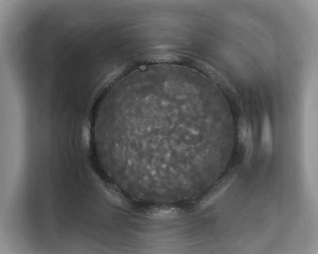 X0000112830206200908281538