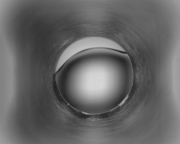 X0000112830211200908281538