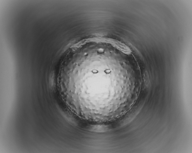 X0000112830212200908281538