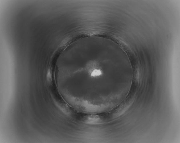 X0000112830214200908281538