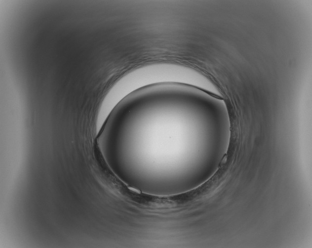 X0000112830215200908281538