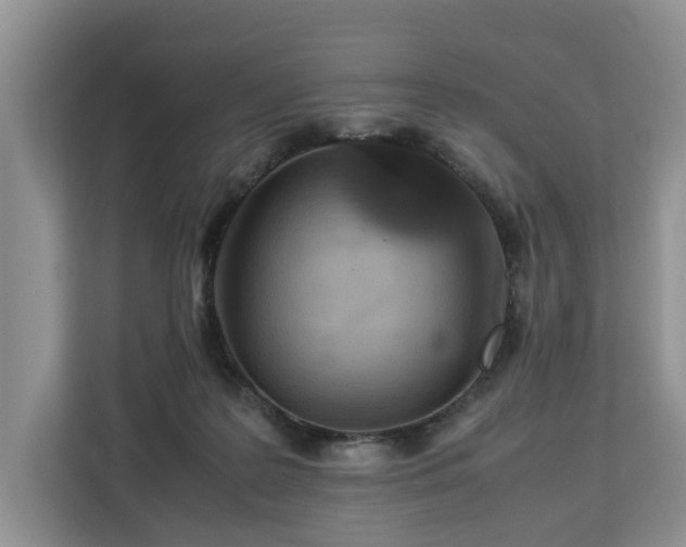 X0000112830219200908281538