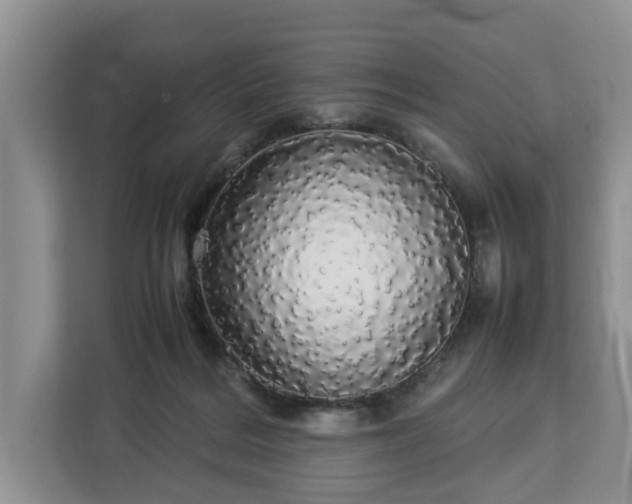 X0000112830220200908281538