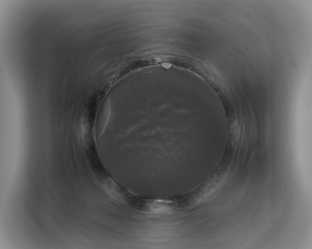 X0000112830222200908281538