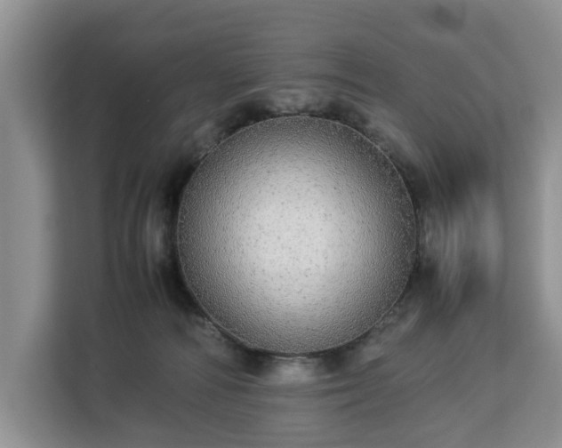 X0000112830226200908281538