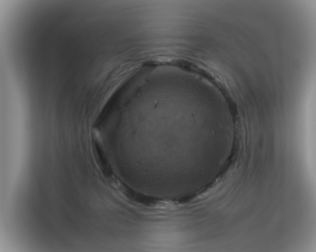 X0000112830227200908281538