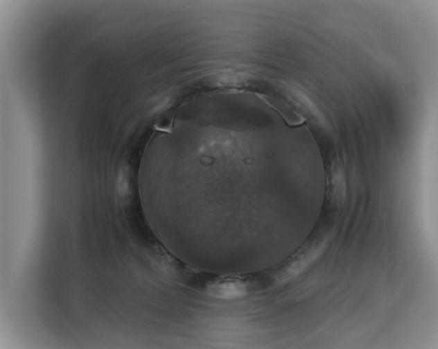 X0000112830228200908281538