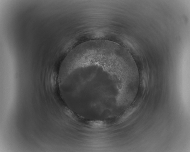 X0000112830230200908281538