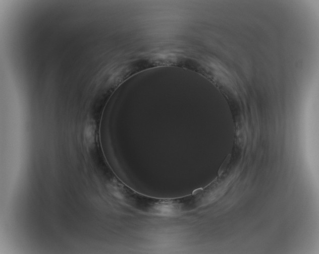 X0000112830231200908281538