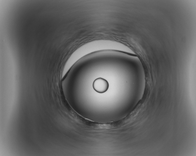 X0000112830233200908281538